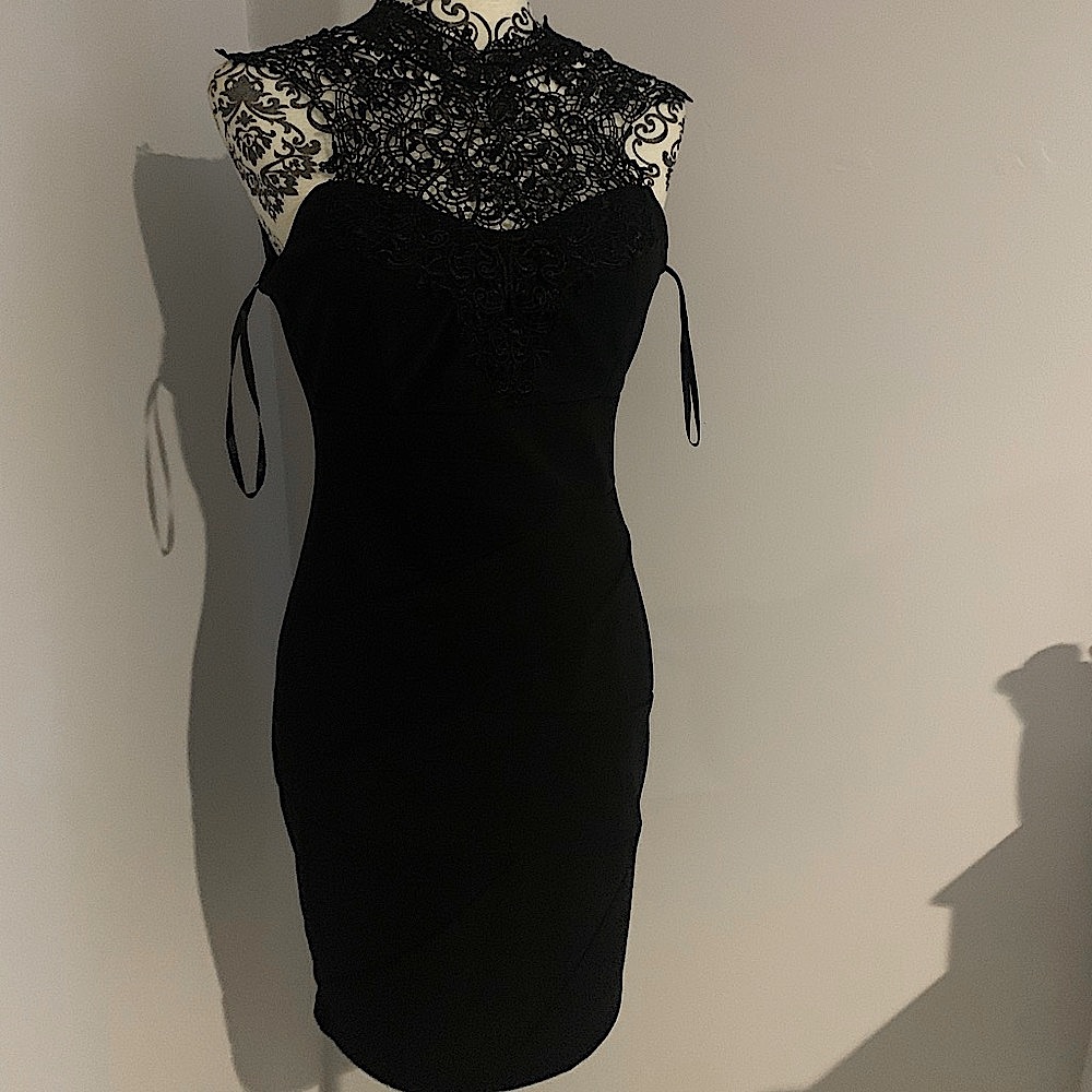 Prom Dress (Brand New)